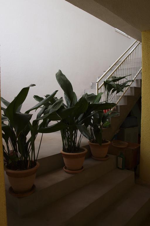 Apartments Viktorija Стариград-Пакленица Екстериор снимка